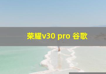 荣耀v30 pro 谷歌